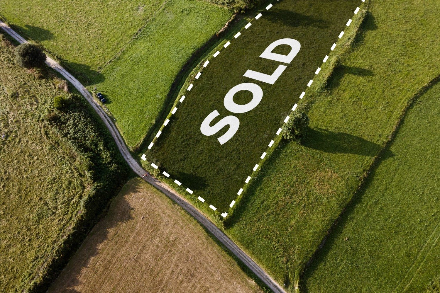 Trova il terreno perfetto: le scelte di terreno che daranno forma alla tua futura casa